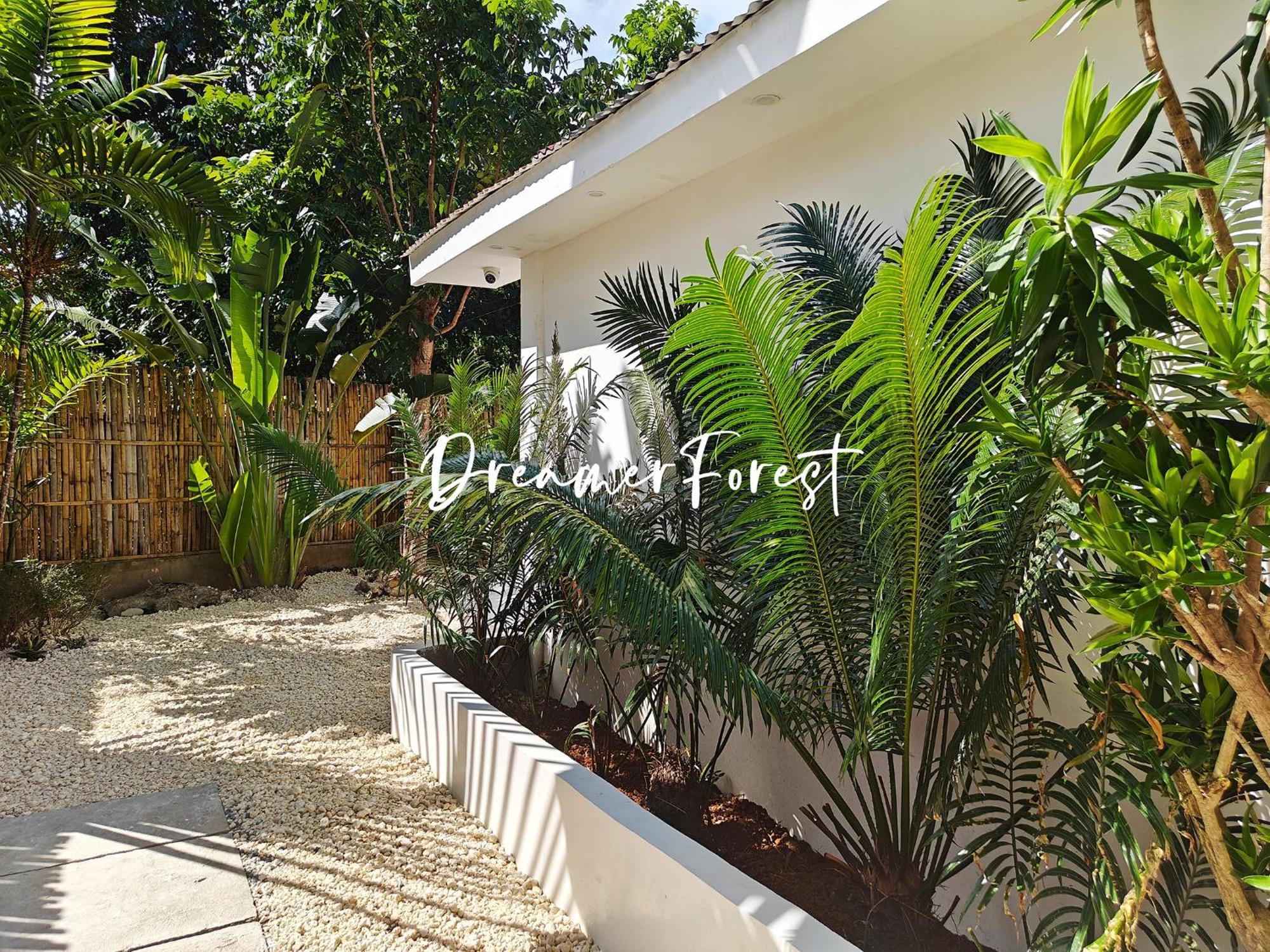 The Forest House * Tangnan